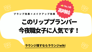 メイクアップ効果もあるような便利なリッププランパー探してます。夜職でも使えそうなアイテムありますか？