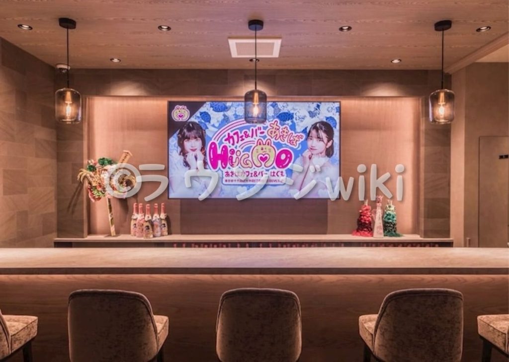 秋葉原ハグモの料金システム